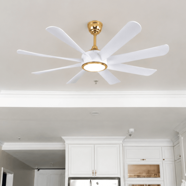 Quạt trần 8 cánh D108-T